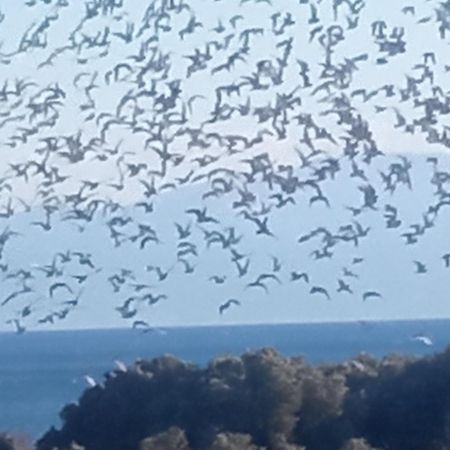 Bella-Caza Lägenhet Makri Exteriör bild