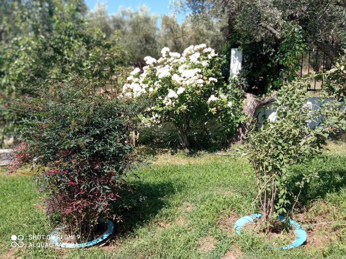 Bella-Caza Lägenhet Makri Exteriör bild