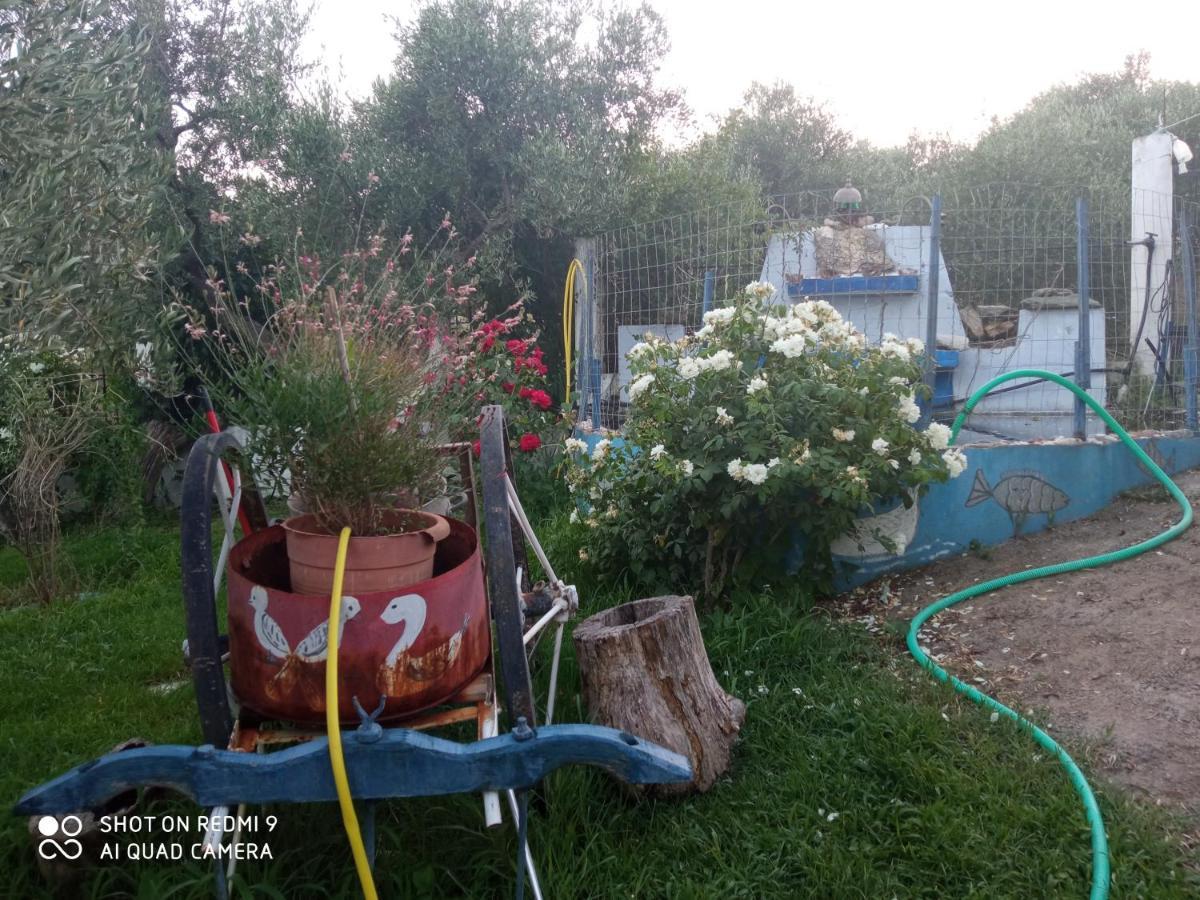 Bella-Caza Lägenhet Makri Exteriör bild